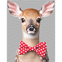 Animal Integration-DW 2233